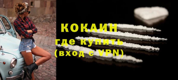 прущие грибы Лагань