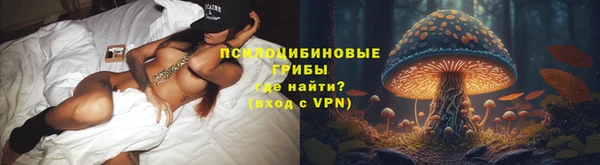 прущие грибы Лагань