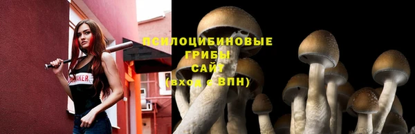 прущая мука Ладушкин
