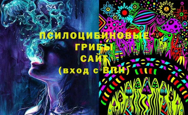 прущие грибы Лагань