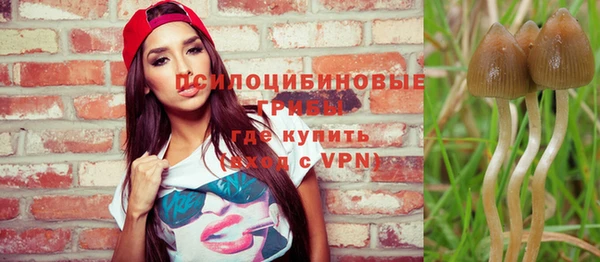 прущие грибы Лагань