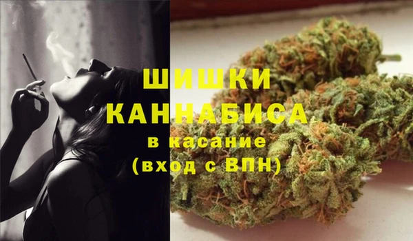прущие грибы Лагань