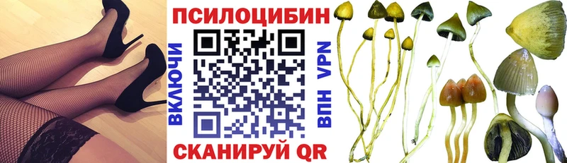 Галлюциногенные грибы мицелий  blacksprut рабочий сайт  Петрозаводск 