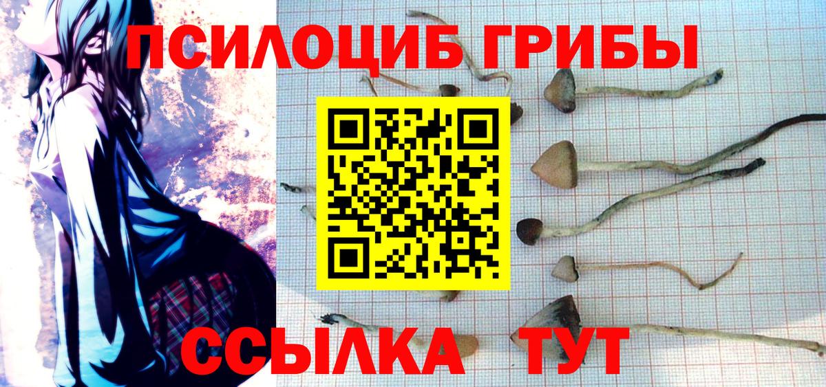 Галлюциногенные грибы мицелий Петрозаводск