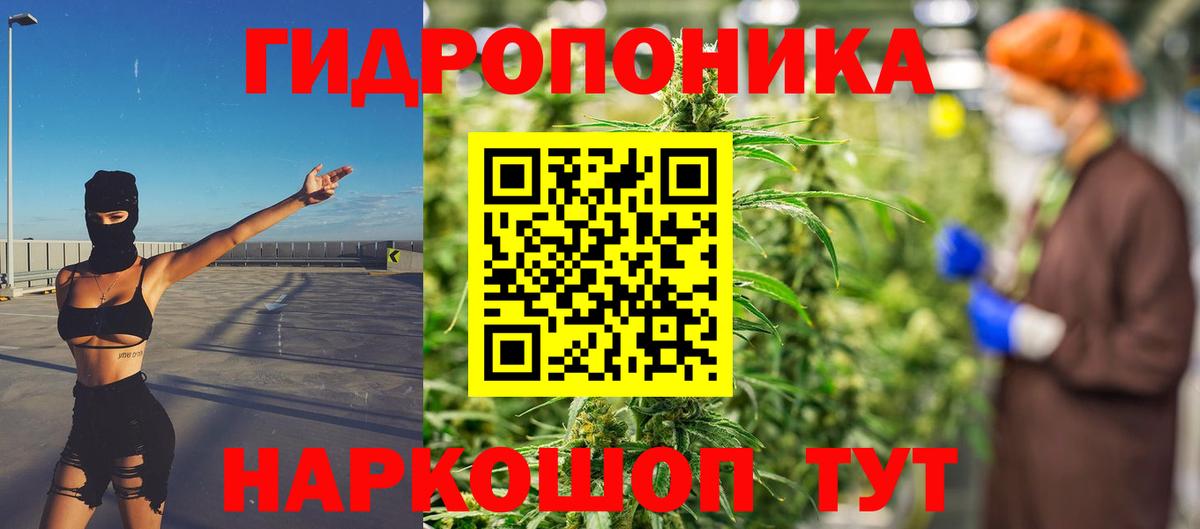 Шишки марихуана Bruce Banner  Шишки марихуана MAZAR  Бошки марихуана LSD WEED  Вход с VPN  Конопля тримм  Петрозаводск 